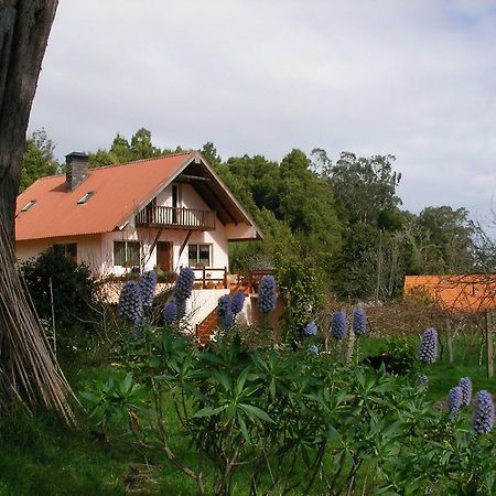Bio Quinta Do Pantano, Agro Turismo Villa Santo Antonio da Serra Dış mekan fotoğraf