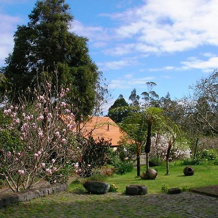Bio Quinta Do Pantano, Agro Turismo Villa Santo Antonio da Serra Dış mekan fotoğraf