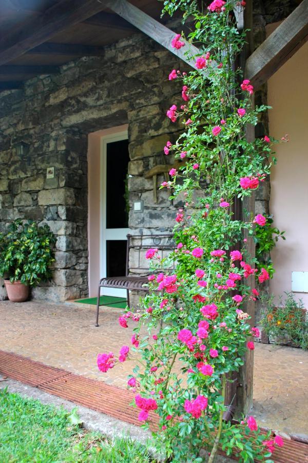 Bio Quinta Do Pantano, Agro Turismo Villa Santo Antonio da Serra Dış mekan fotoğraf