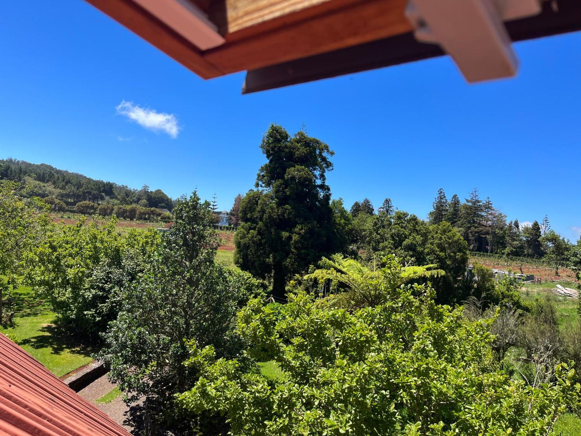 Bio Quinta Do Pantano, Agro Turismo Villa Santo Antonio da Serra Dış mekan fotoğraf