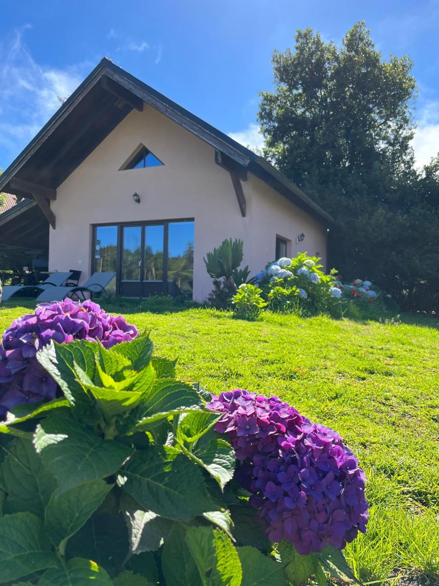 Bio Quinta Do Pantano, Agro Turismo Villa Santo Antonio da Serra Dış mekan fotoğraf