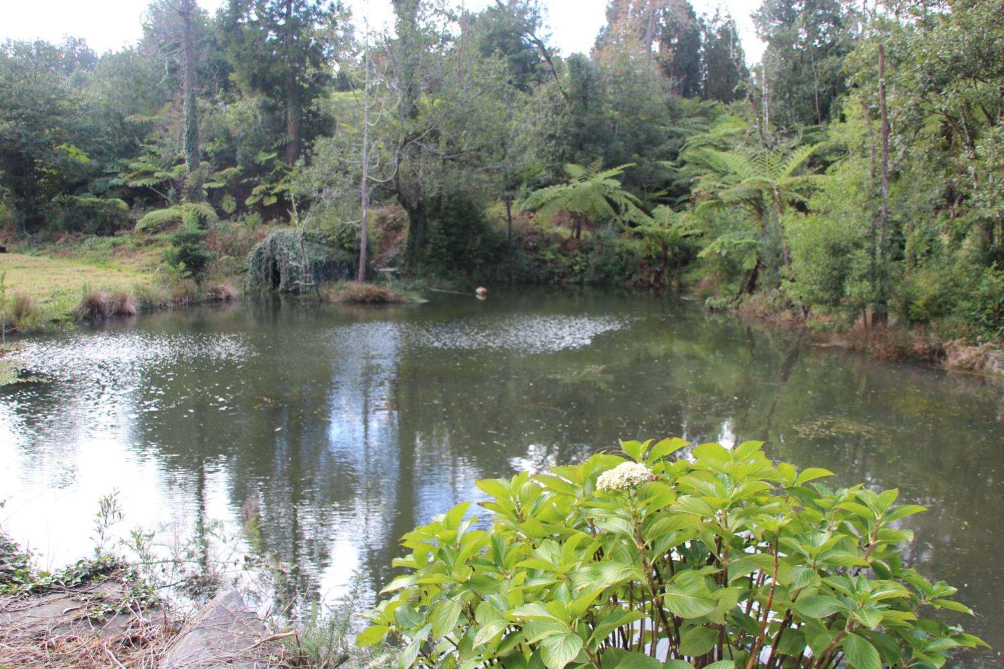 Bio Quinta Do Pantano, Agro Turismo Villa Santo Antonio da Serra Dış mekan fotoğraf