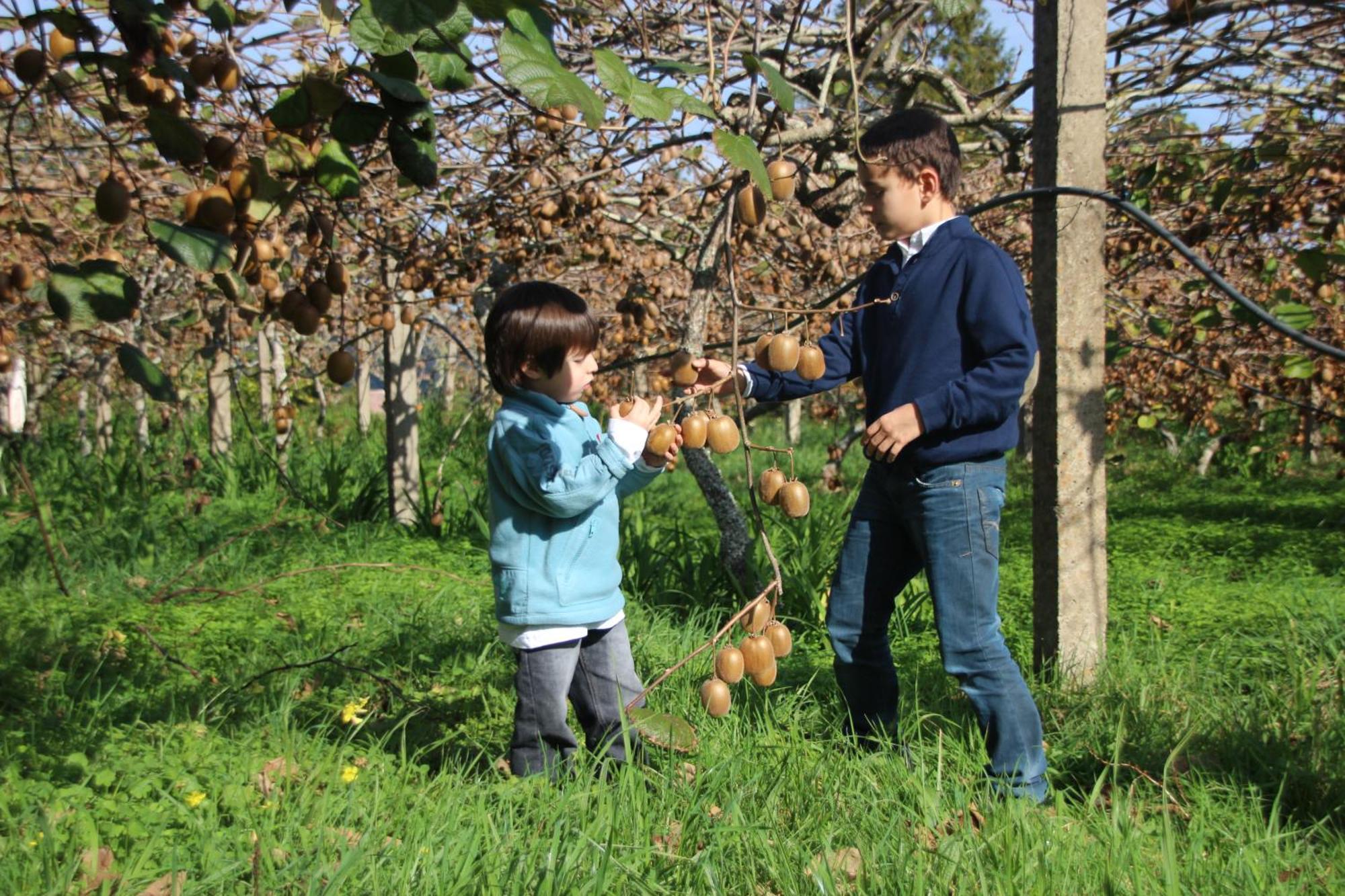 Bio Quinta Do Pantano, Agro Turismo Villa Santo Antonio da Serra Dış mekan fotoğraf