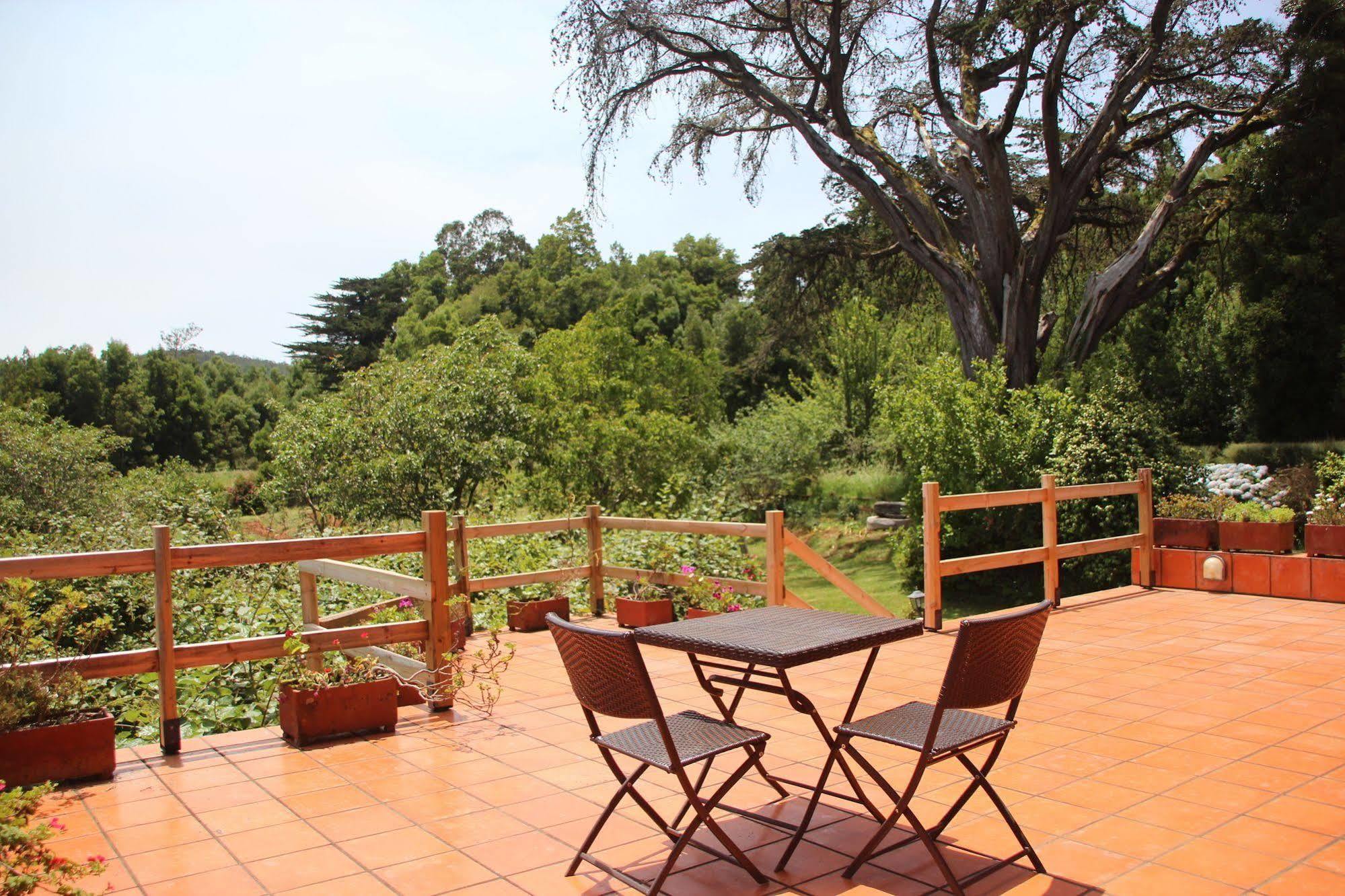 Bio Quinta Do Pantano, Agro Turismo Villa Santo Antonio da Serra Dış mekan fotoğraf