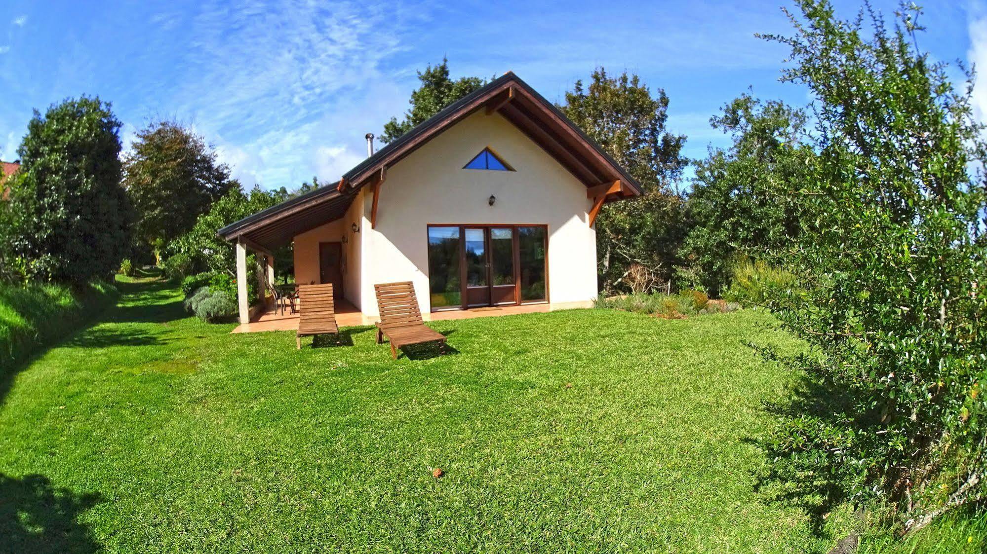 Bio Quinta Do Pantano, Agro Turismo Villa Santo Antonio da Serra Dış mekan fotoğraf